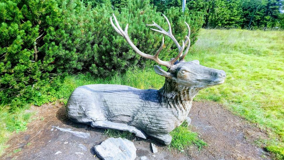 Jeleni hlida boudu Jelenka