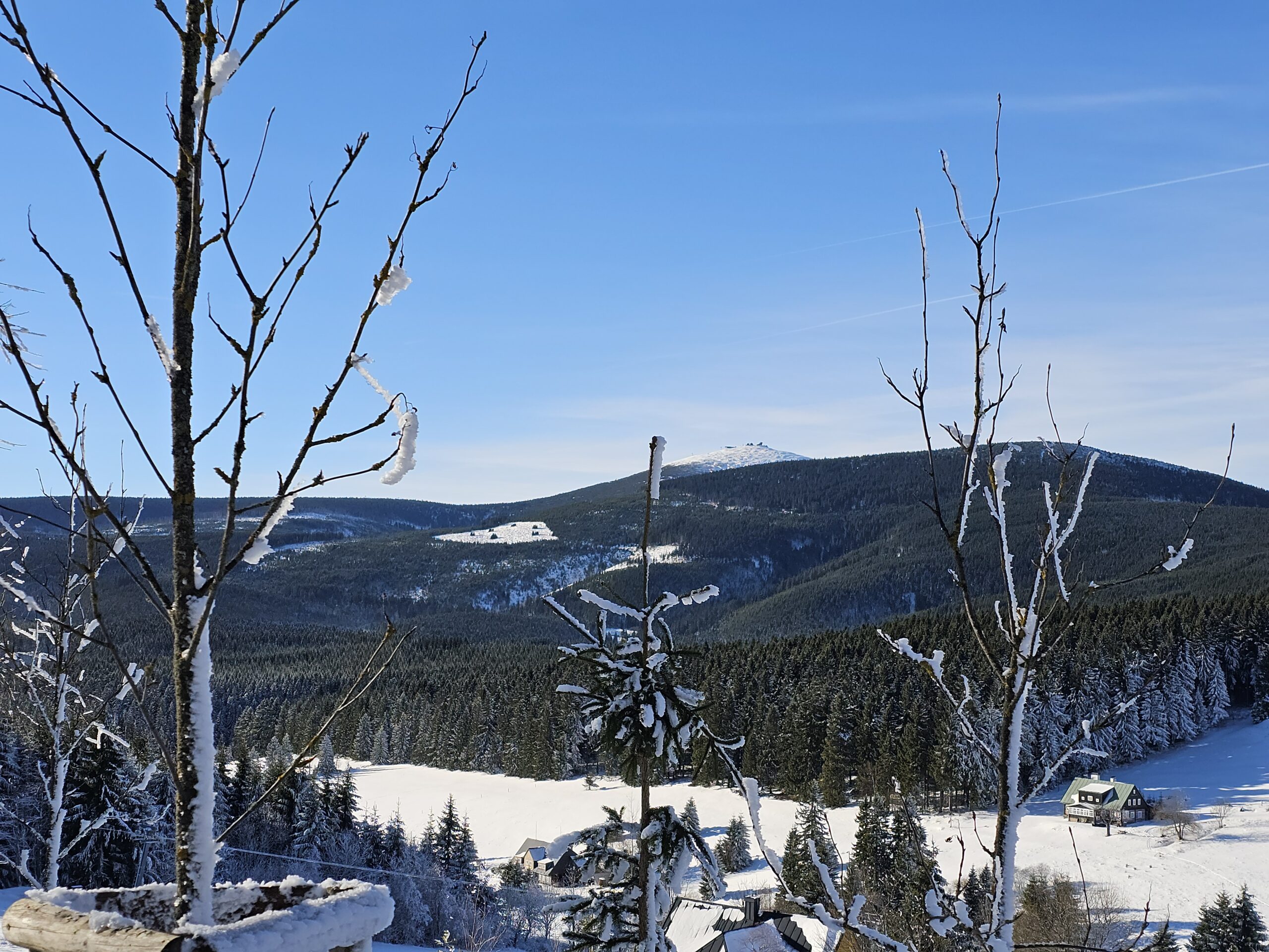 20251128 124958 scaled