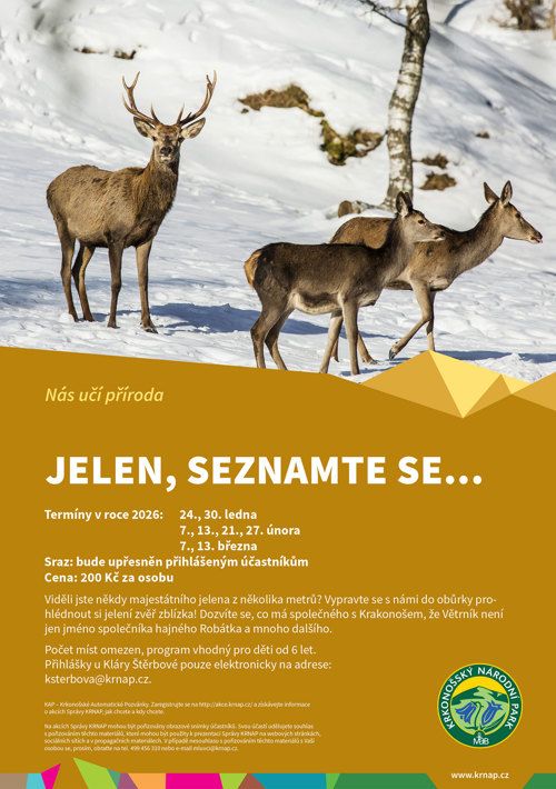 013 jeleni 2026 w 1771229541.7407